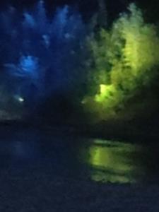 �޵н��𣺵͵�������