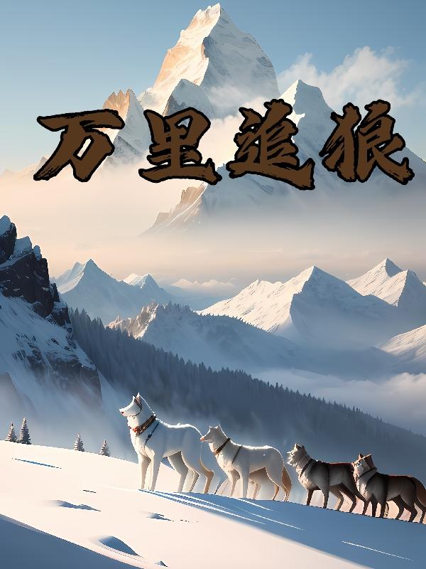 ����׷��